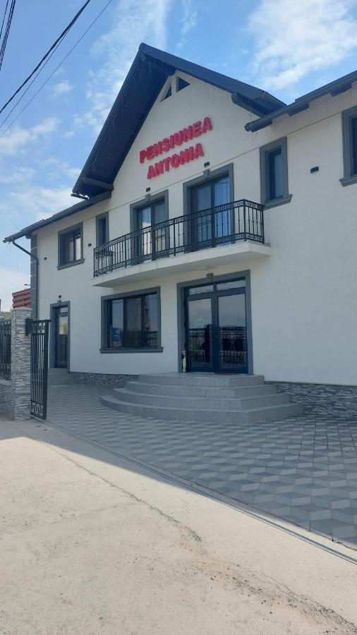 Pensiunea Antonia Sighetu Marmaţiei Exterior foto